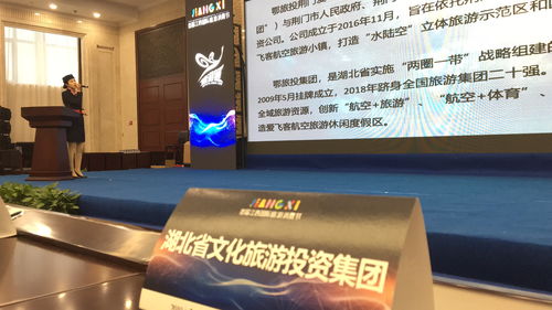 鄂旅投荊門愛飛客公司亮相首屆江西國際旅游消費節 文化產業投資成果斐然